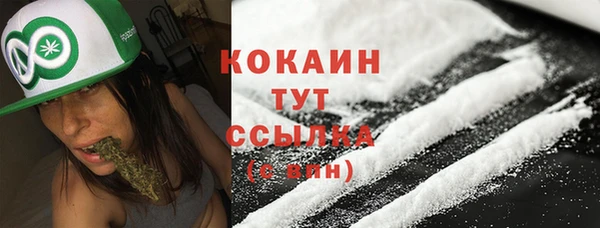твердый Надым