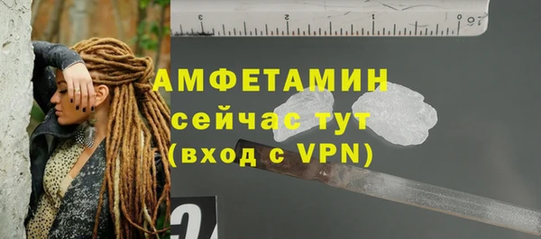 твердый Надым