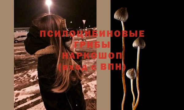твердый Надым