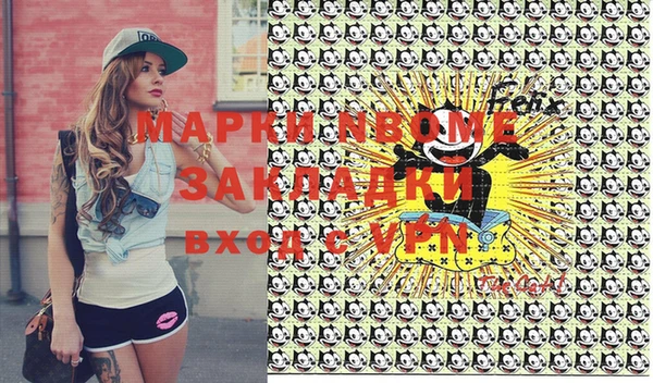 твердый Надым