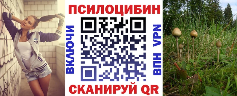 Псилоцибиновые грибы прущие грибы  хочу наркоту  Долгопрудный 