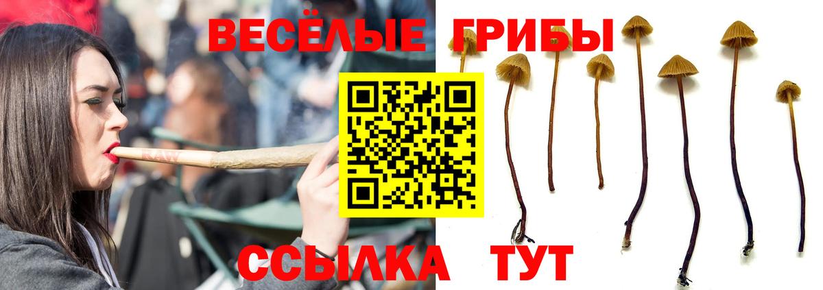 Псилоцибиновые грибы MAGIC MUSHROOMS  Вход с VPN  купить  сайты  Долгопрудный 